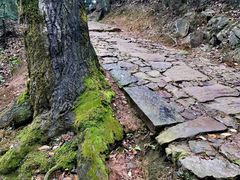 -西湖风景区十里琅珰-五云山