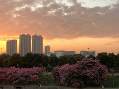 -清湖文化公园