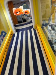 -meland(成都金牛凯德广场店)