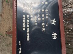 -武侯墓风景区