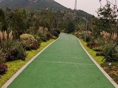 -佛慧山