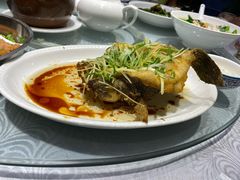 笋壳鱼-粤·向群饭店(龙津东路总店)