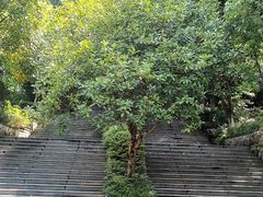 -重庆工商大学(南岸校区)