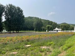 -紫海香堤香草艺术庄园