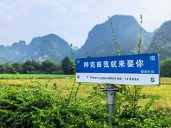 -明仕田园