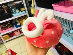 -钓仓鼠(洋桥北里小区店)