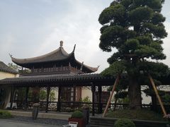 -杭州西子湖四季酒店-WL BISTRO西湖餐厅(灵隐路店)