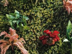 -味之绝热血美蛙鱼火锅(中坝店)