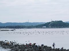 -汕尾风车岛