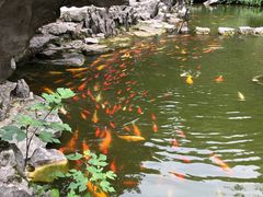 -善卷洞风景区