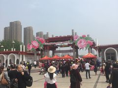 -曹州百花园