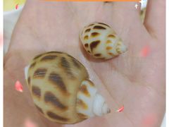 -宜宾海鲜酒家·三十年老字号