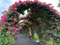 -广富林郊野公园