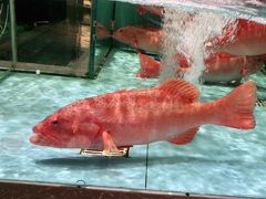 -阿伟海鲜楼·福建菜(延寿店)