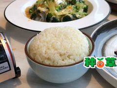 鸡油饭-星怡会·新加坡新美食(苏州中心店)