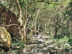 -梧桐山风景名胜区