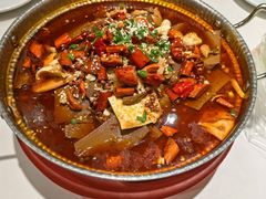 -新侨小馆(东直门北小街店)