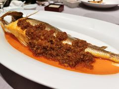 -子福慧(虹桥店)