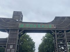 -溱湖国家湿地公园