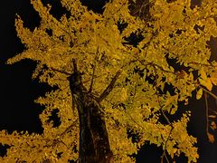 -高庙村(地铁站)