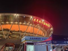 -东莞银行篮球中心