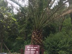 -鱼凫国都大酒店温泉