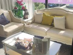 -宠爱国际动物医院· 猫科· 外科·中兽医(长白店)