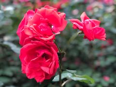 门面-梁启超书斋