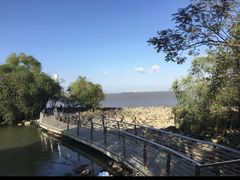 -吴淞炮台湾湿地森林公园烧烤区