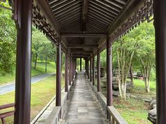 -八大山人梅湖景区