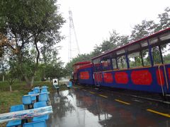 DSC08552-永定河休闲森林公园