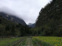 -鹿院坪生态旅游景区