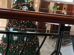 -成都天府丽都喜来登饭店