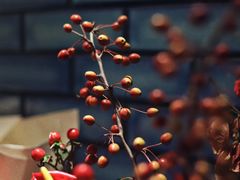 -Onirii Coffee(长乐路店)