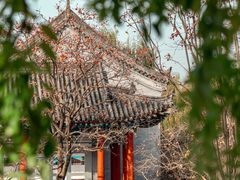 -华清宫景区
