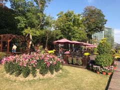 -南通洲际绿博园