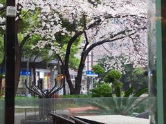 -玛格萝妮比萨屋(四平店)