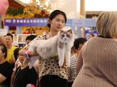 -青奢宠物·青奢猫舍