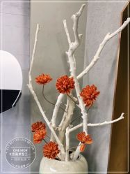 -变画·发型STUDIO