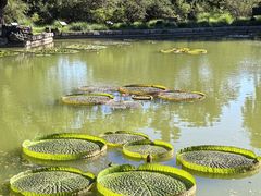 -国家植物园南园