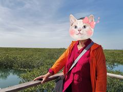 -北海金海湾红树林生态旅游区