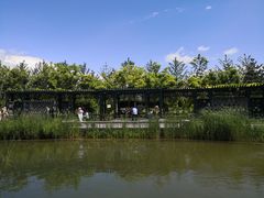 -西海子公园
