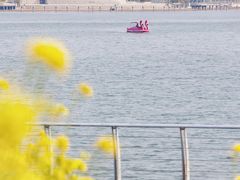 -九龙湖公园