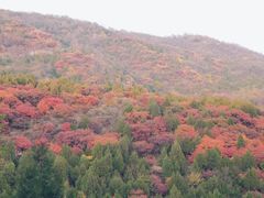 -鬼笑石后山停车场