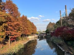 -上海浦江郊野公园-2号停车场