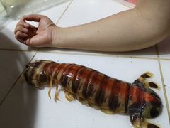 -海盗餐厅