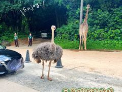 -广州长隆野生动物世界