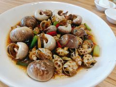 香螺花螺双拼-金海湾海鲜排档(朱家尖店)
