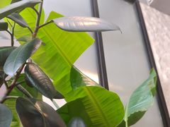 -Laures·月桂西班牙碳烤餐厅(十尚坊店)