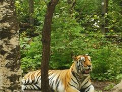 -哈尔滨北方森林动物园